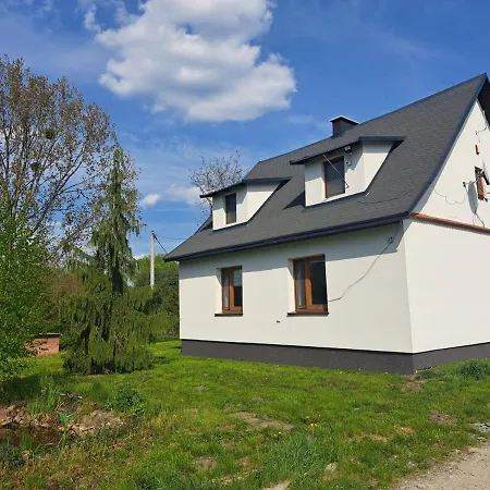 Kamien17 *