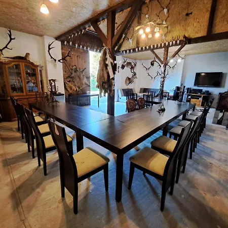 Kamien17 Apartment Miedzyborz (Olesnica)